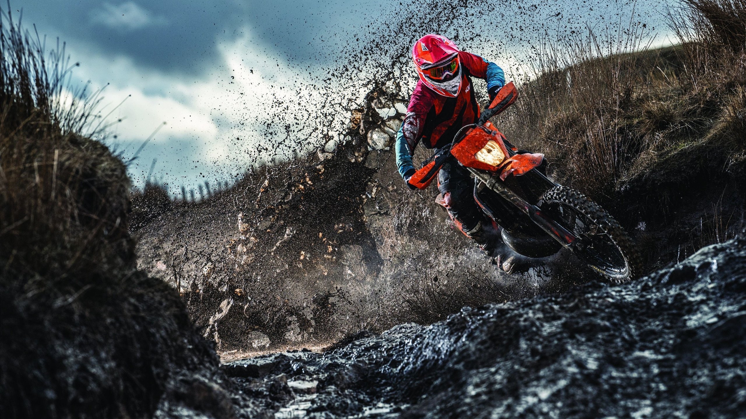 败局之下，藏锋未来，阿扎伦卡新星连败惊艳，TL未来可期！藏锋于败局，阿扎伦卡新星惊艳连败，TL未来崛起